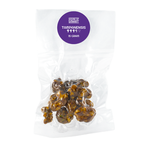 Tampanensis Truffels (15g) - House of Smart