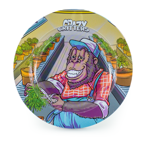 Crazy Critters - Ashtray - Gorilla