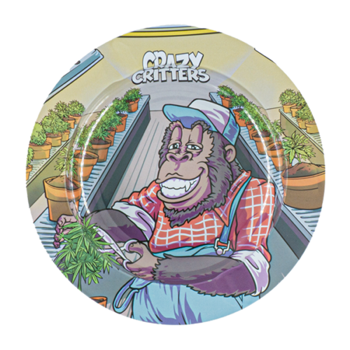 Creature pazze Gorilla Portacenere