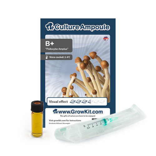 B+ - Culture Ampoule Set (Sporen Spuit)