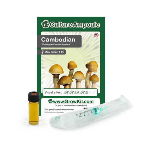 Cambodian - Culture Ampoule Set (Sporen Spuit)