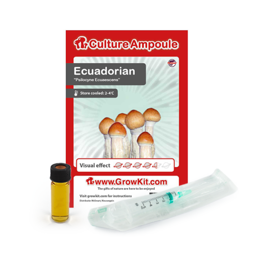 Ecuadorian - Culture Ampoule Set (Sporen Spuit)