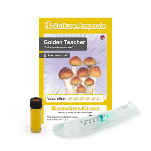 Golden Teacher - Culture Ampoule Set (Sporen Spuit)