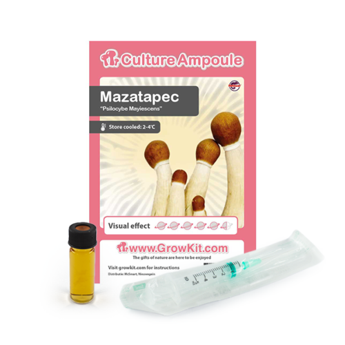 Mazatapec - Culture Ampoule Set (Sporen Spuit)