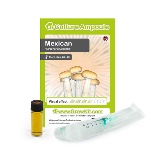 Mexican - Culture Ampoule Set (Sporen Spuit)